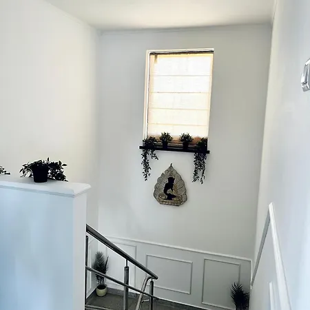 Macris إيفوري نورد